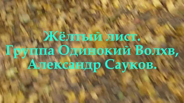 Жёлтый лист ( Премьера клипа 2025 г.)