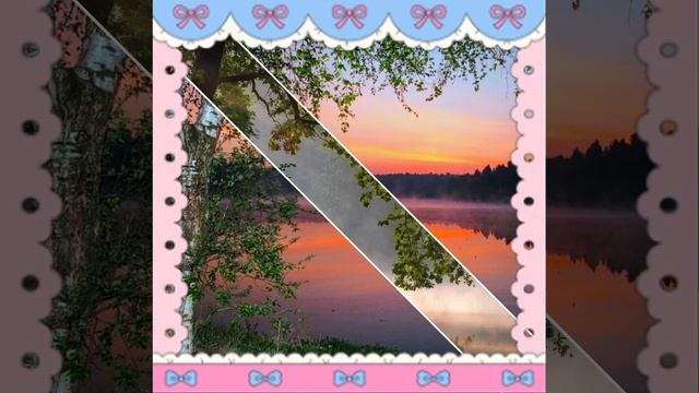 VID_20250926_132649_300.mp4