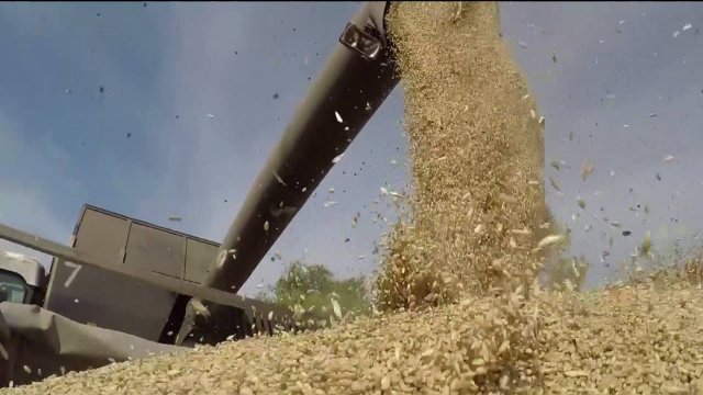 Аграрии Башкортостана собрали почти 3,4 миллиона тонн зерна