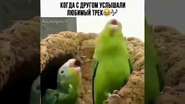 1001817996.mp4