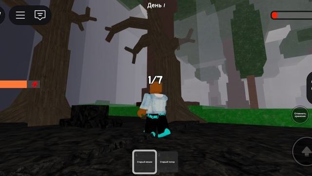 Roblox