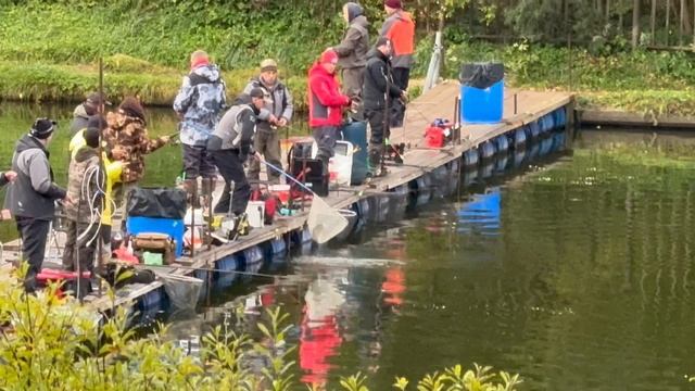 Утро на водоёме.Форель
