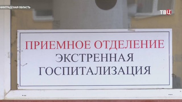 Стали известны страшные подробности массового отравления алкоголем под Петербургом / События на ТВЦ