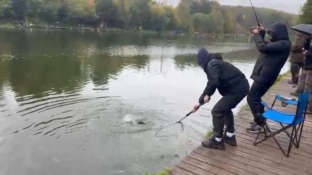 Форелька на блесну
