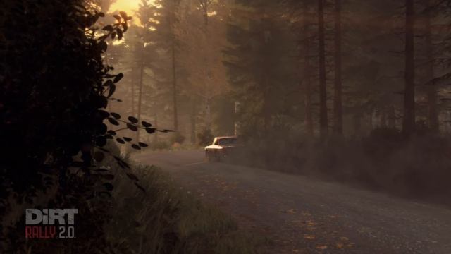 Dirt Rally 2.0 на линуксе с рулем Moza R5.