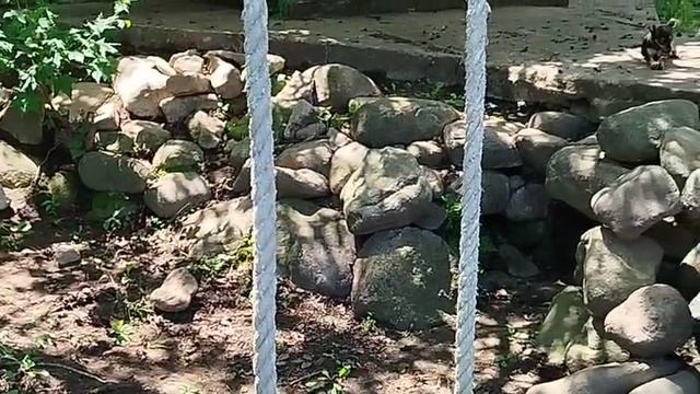 Моя первая картина из алмазной мозаики.27.09.2025г