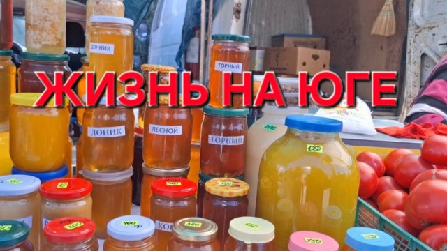 784 Жизнь в станице. Что решили делать. Цены на рынке на юге осенью.