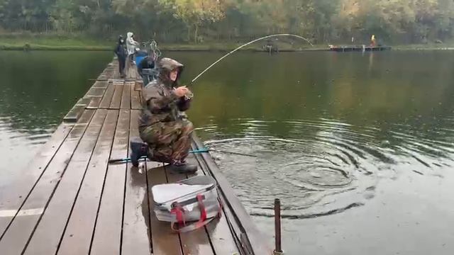 Вечер.Форель