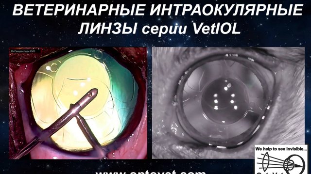 Ветеринарные интраокулярные линзы для животных (искусственные хрусталики) серии VetIOL