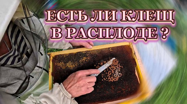 Работы на пчельнике продолжаются. Часть 2