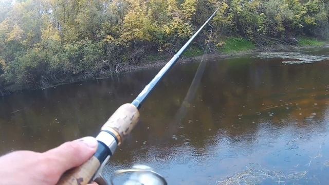 Рыбалка осенью в сентябре.Ловля щуки на джиг.Рыбалка на спиннинг 2025