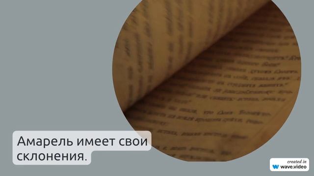 Фамилия Амарель: история, происхождение и значение - полный гайд со склонением фамилии
