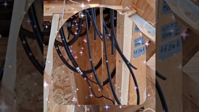 1000035642.mp4 (Собака наблюдает за устройством плоскости каркаса, обрезкой пола в доме А-фрейм)