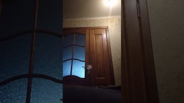 спорт