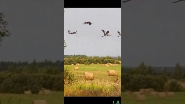 хочешь друг я тебе расскажу что такое Россия