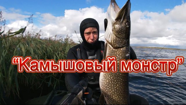 «Камышовый монстр»  фильм N10 подводная охота сезона 2025
