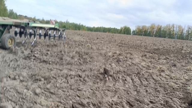 будни