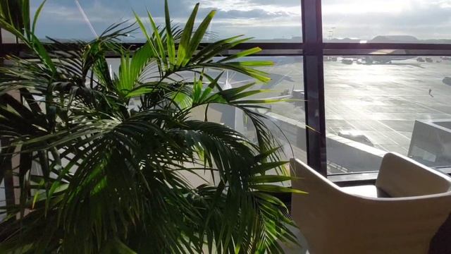 ПЕРЕЛЕТ БИЗНЕС ЗАЛ МАЛЕВИЧ СВЯЗЬ В ТАИЛАНДЕ ВНИМАНИЕ КОРАЛ ТРЕВЕЛ