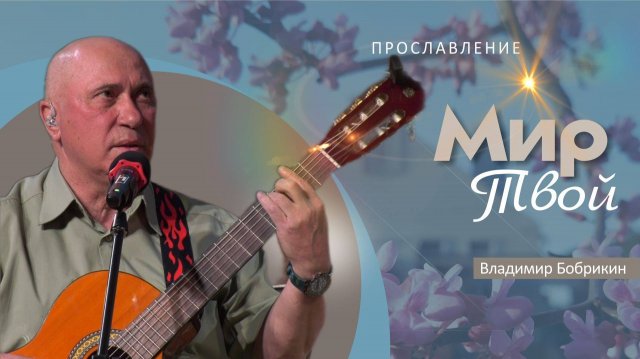Мир Твой | Владимир Бобрикин