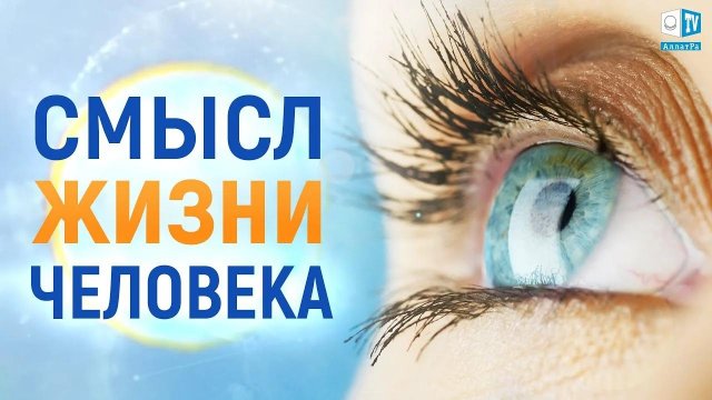 Смысл жизни человека. Фрагмент книги «АллатРа»
