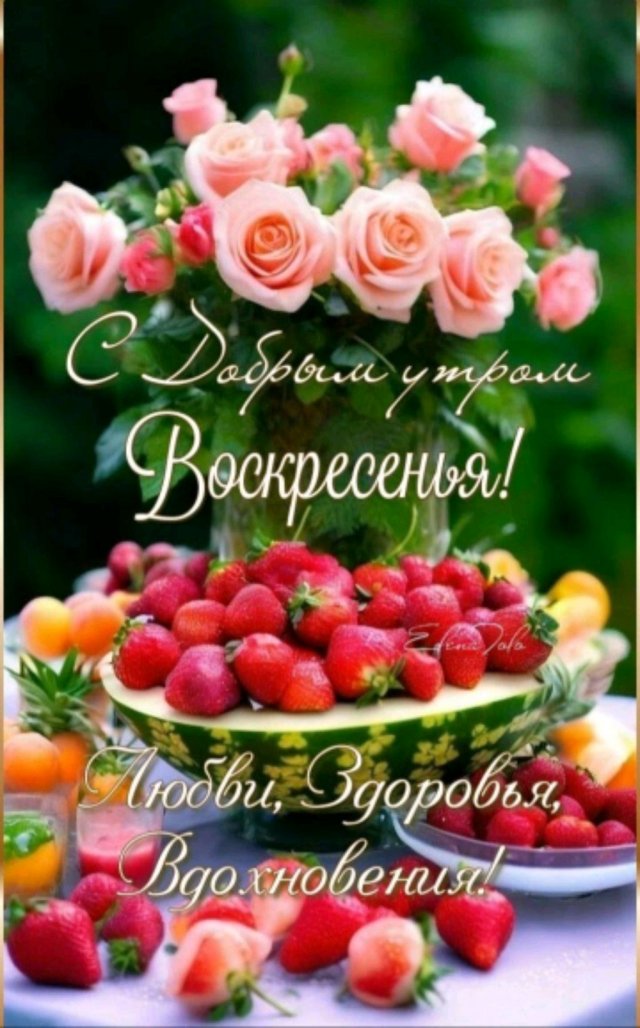 жизнь в деревне