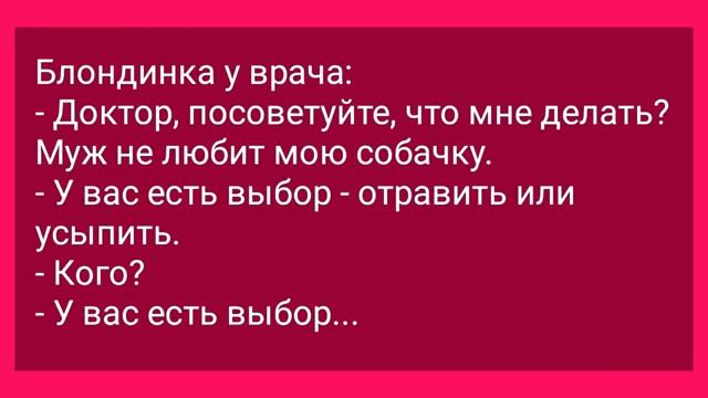 Анекдоты! Муж Изменил с Училкой! Подборка Веселых Анекдотов для Настроения