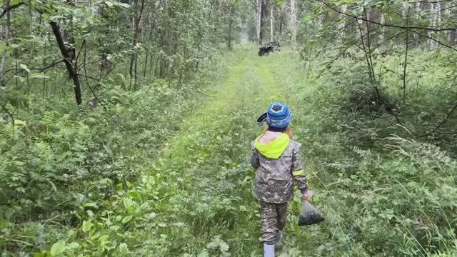 Прогулка по лесу или в поисках вкусных ягод.
