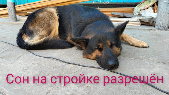Стройка.Спор.Последний штрих.