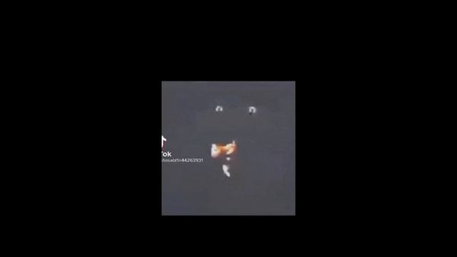 👉👈