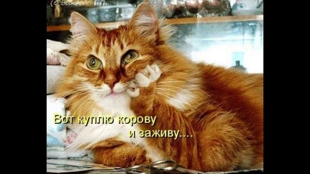 Разговоры с коллекторами 96