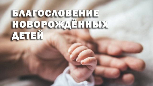 28 сентября 2025 10-00