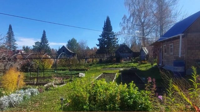 Осень. На даче Осень.Красноярский край