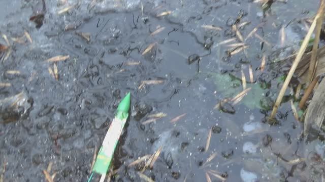 Запускаем РАКЕТЫ под Лед,ТОП ИЗДЕЛИЙ ПИРОТЕХНИКИ НА ЛЬДУ