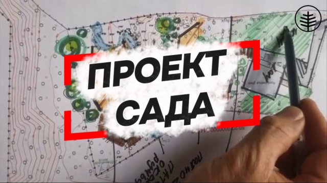 Проект сада ✍️