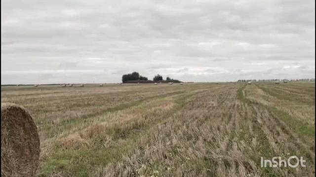 Стихотворение Сергея Есенина на родине поэта.