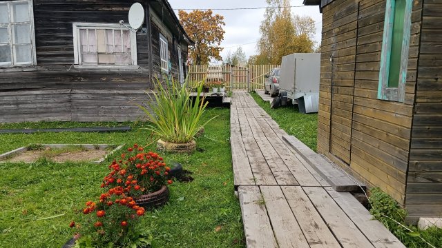 Хороший отдых в деревне.Надо там жить.