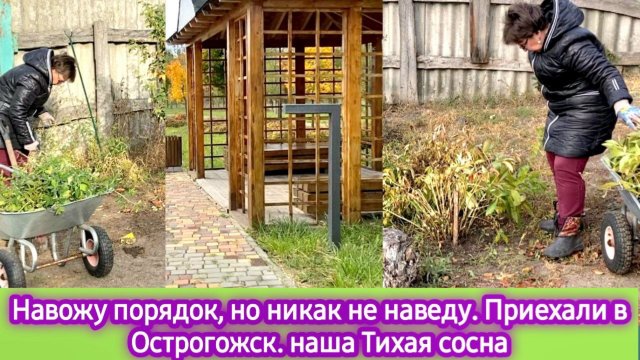 Навожу порядок, но никак не наведу - разбираюсь с розами. Приехали в Острогожск, наша Тихая сосна