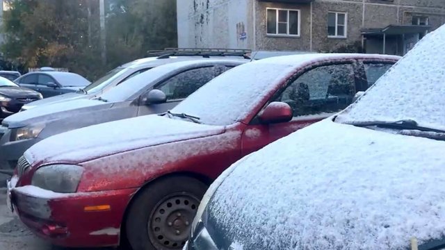 "Повсеместно": Вильфанд предупредил о надвигающихся заморозках в России
