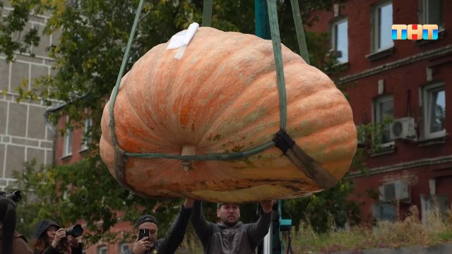 «Тыква весом в тонну, арбуз размером с телевизор»: В Москве стартовал фестиваль «овощи-гиганты»