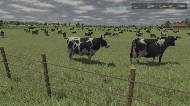 Больше Визуальных Животных для  Farming Simulator 25