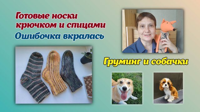 Готовые носки крючком и спицами/груминг и собачки