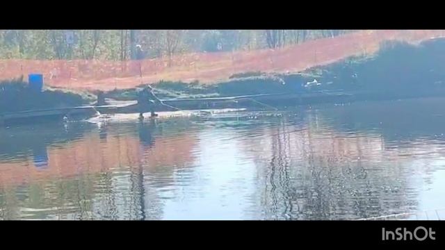 Поимки Форели