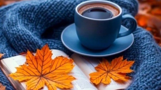 СП Носочный календарь 2025 Осенний Блюз