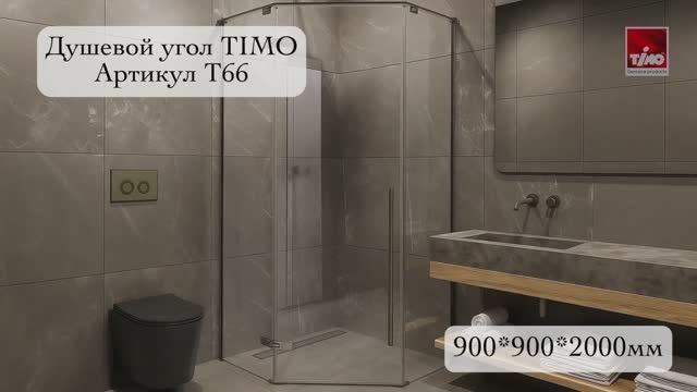 T66