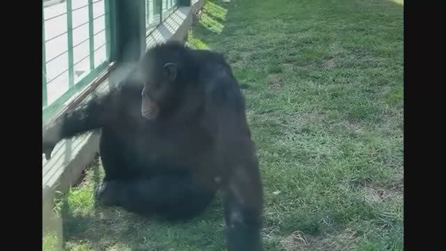 ДЕПРЕССИЯ  😂😂😂