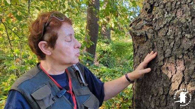 Мучник Е.Э. Лишайники Хоперского заповедника