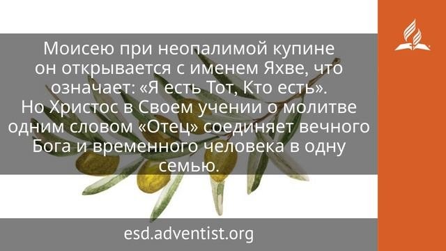 2 октября 2025. Мы — дети Божьи. Под сенью благодати | Адвентист