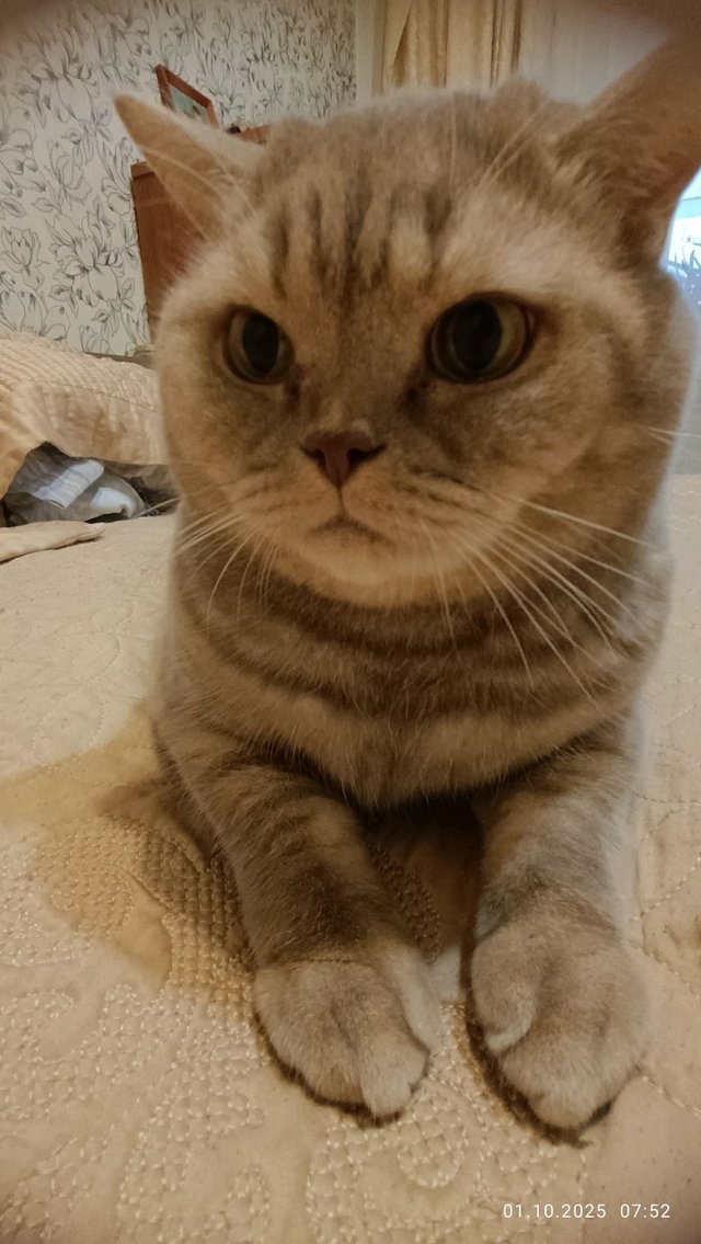 ммм