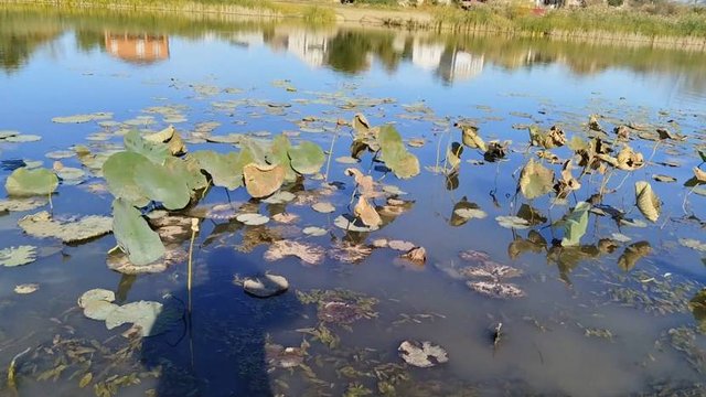 Осенняя рыбалка на хищника в Астрахани.