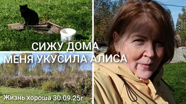 СИЖУ ДОМА _ МЕНЯ УКУСИЛА АЛИСА _ ЖИЗНЬ В ДЕРЕВНЕ _ ЖИЗНЬ ХОРОША 30.09.25г